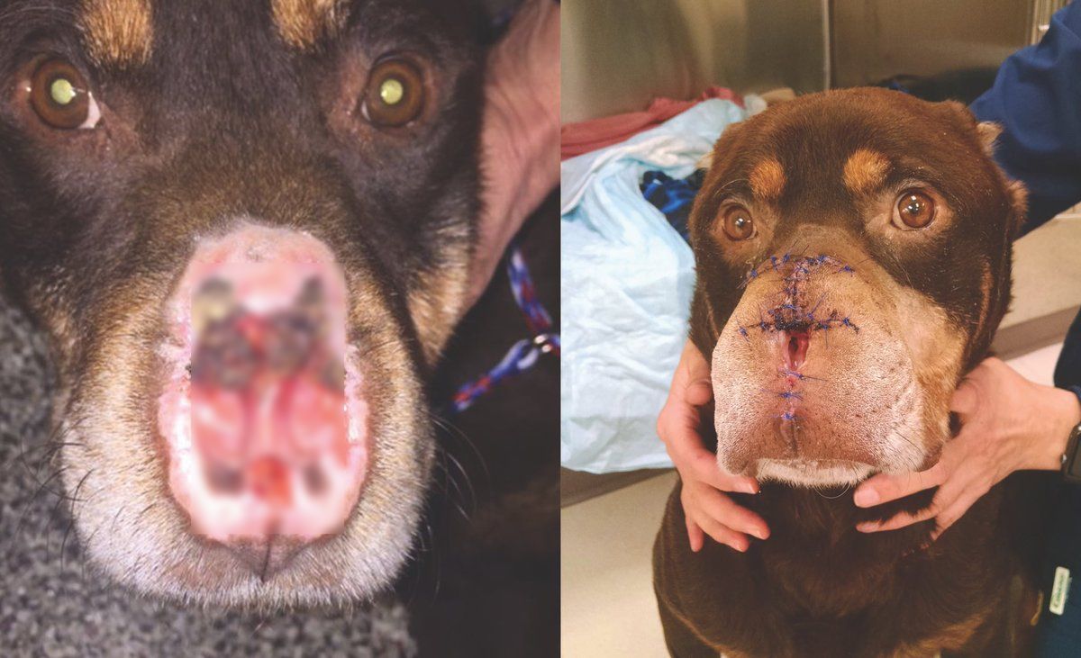 baron-update-1_censored