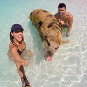 pigs-beach-bahamas-3