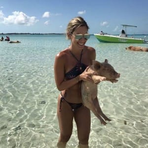 pigs-beach-bahamas-1