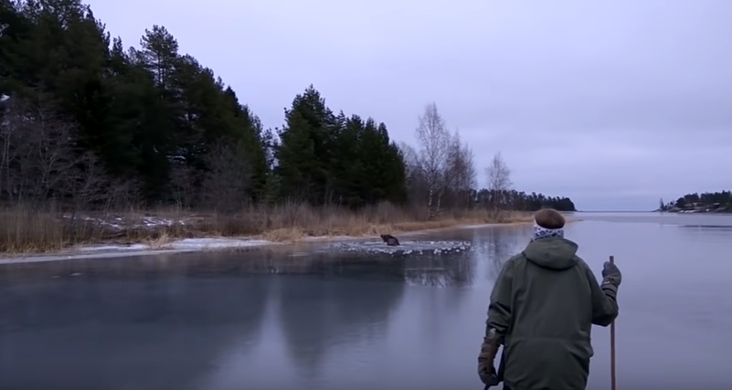 elan-suede-lac-gele-1