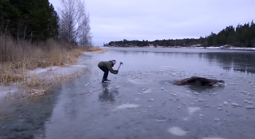 elan-suede-lac-gele-2