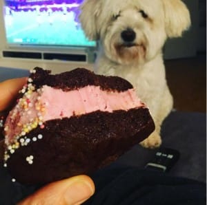 dog-diarrhea-lifestyle-2