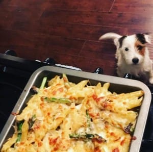 dog-diarrhea-lifestyle-3