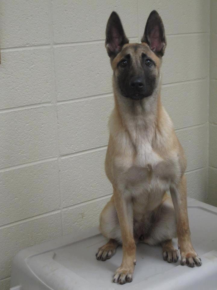 inka_police_death_prison_4