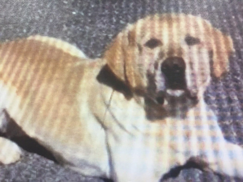 inka_police_death_prison_3