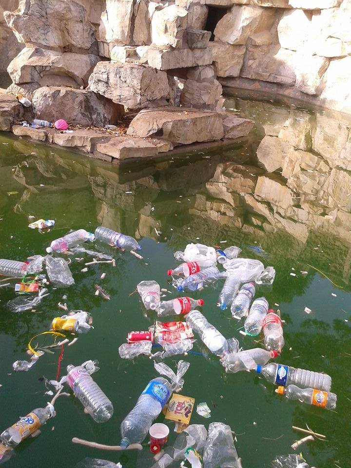 zoo-belvedere-tunis-crocodile-7