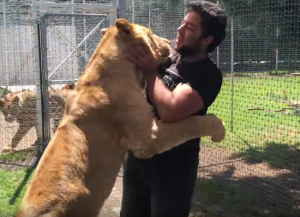 kiara-lion-adolfo-TN