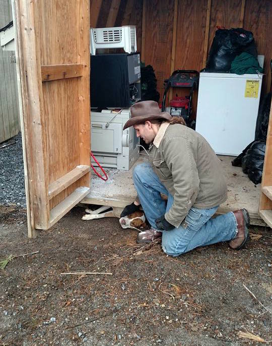 pumpkin_pregnant_shed_3