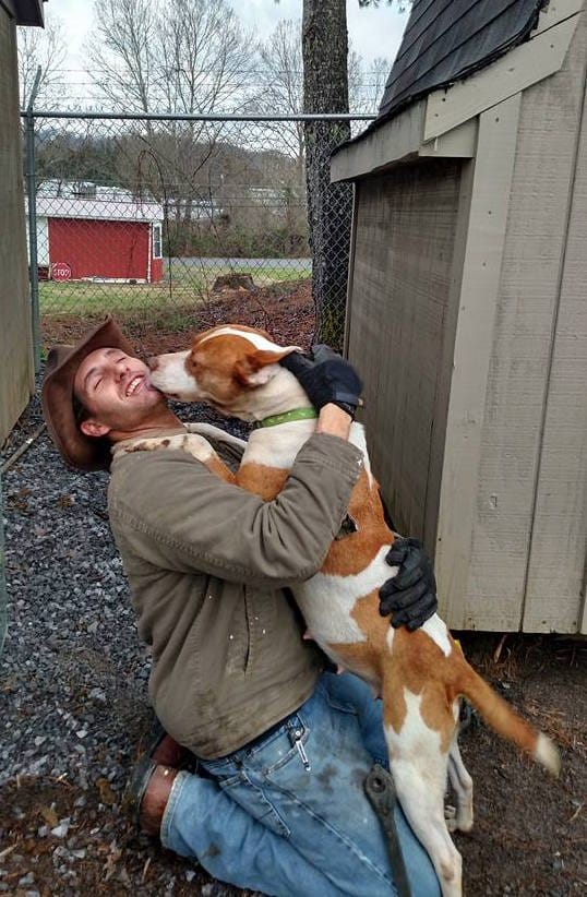 pumpkin_pregnant_shed_2