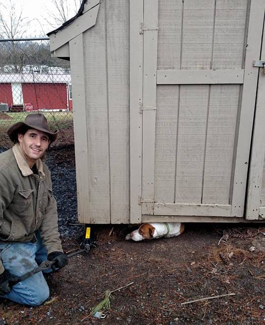 pumpkin_pregnant_shed_4