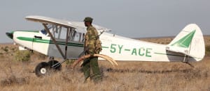 elephant-satao-2-kenya-4