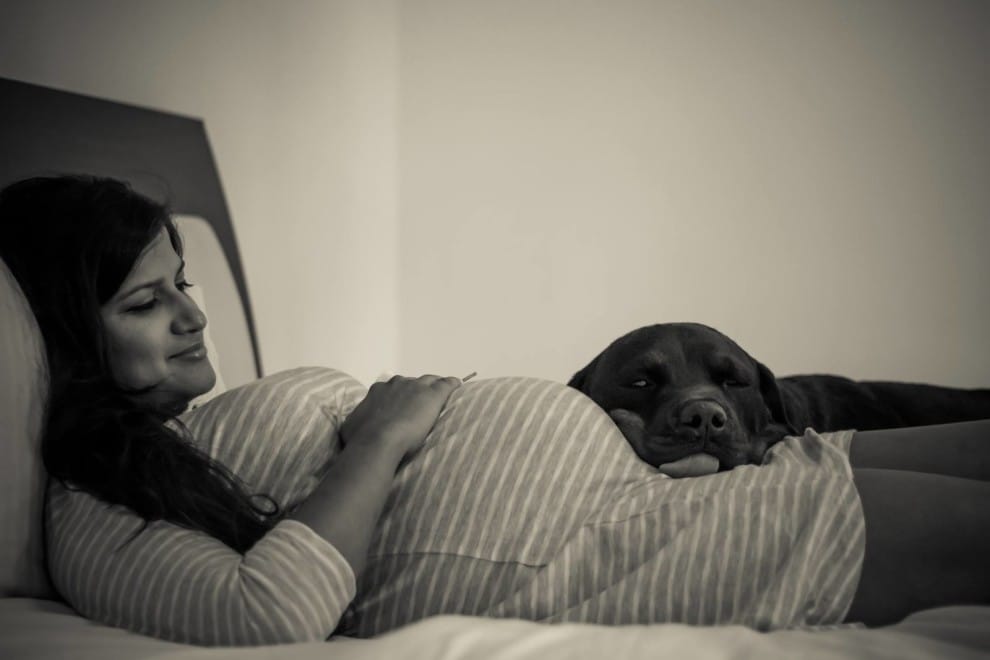 pregnancy_photoshoot_dog_3