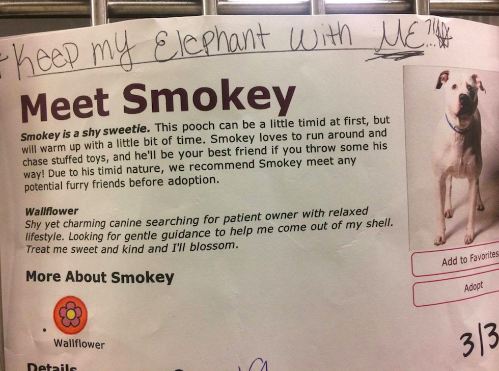 smokey-chien-elephant-peluche-3