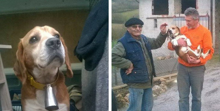 eliott-pet-alert-fevrier-1