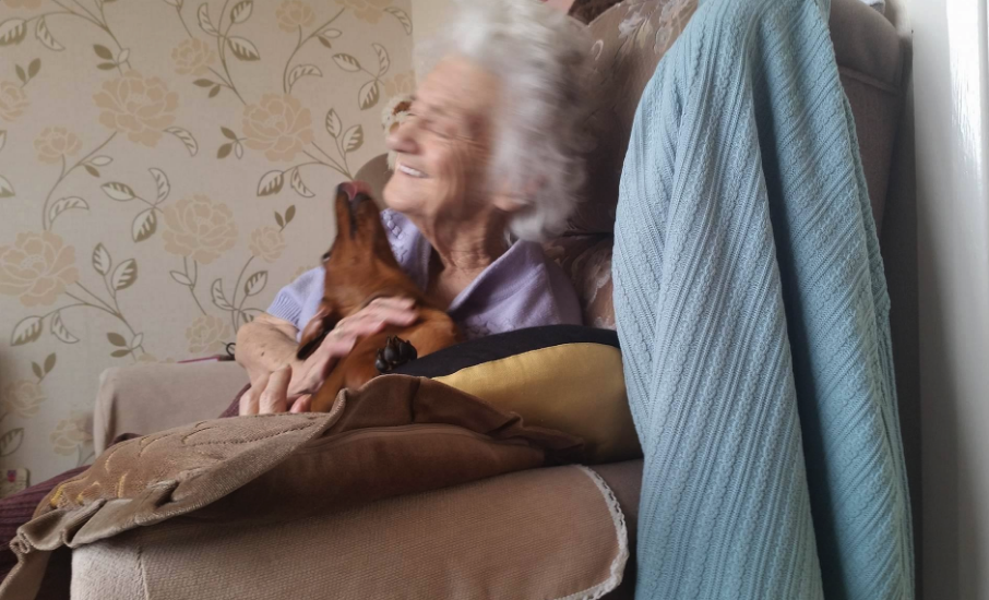 chien-femme-alzheimer-1