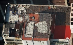 shark-fins-hong-kong-9