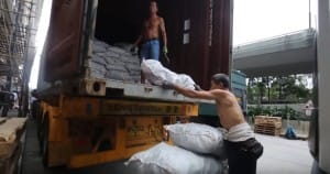 shark-fins-hong-kong-1