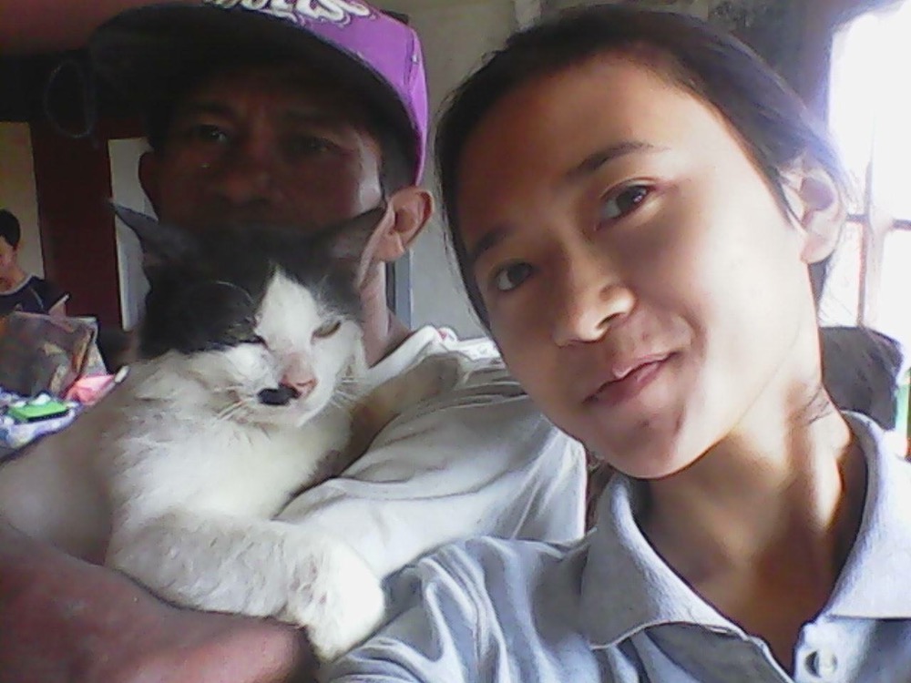 2652038_1483119901.4597_updates