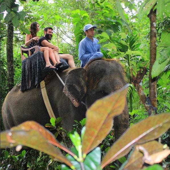 dan-tortoise-islands-1