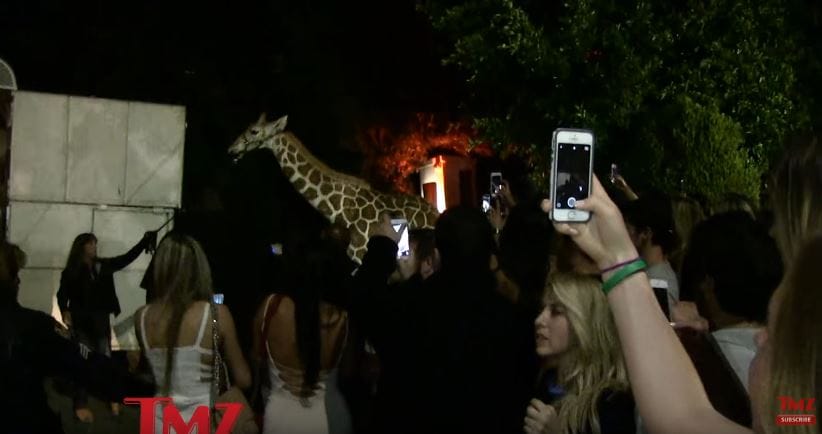 dan-tortoise-islands-3