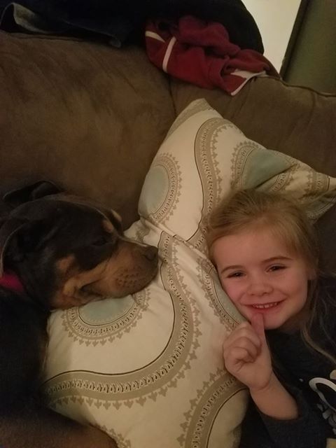 petra-chienne-perdue-retrouvee-2