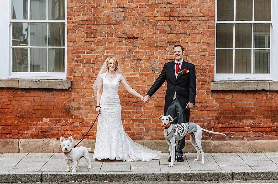 dog-wedding-recovery-2