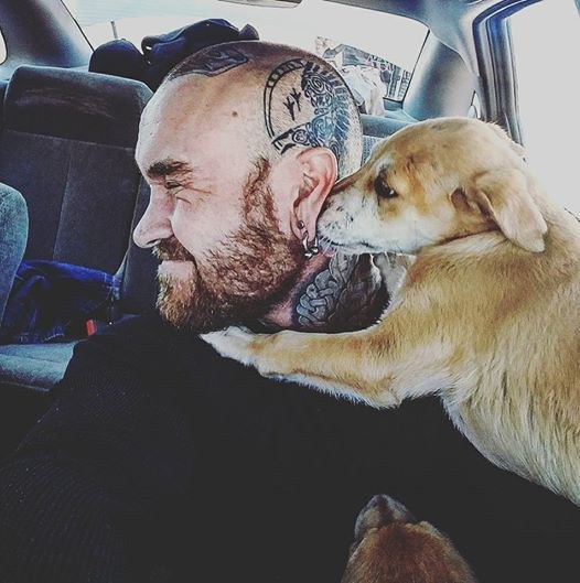 chiots-perdus-chris-vaness-3