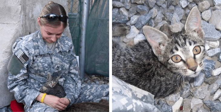 christine-felix-cover