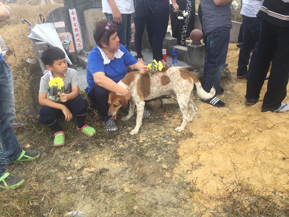 chien-bobby-enterrement-3