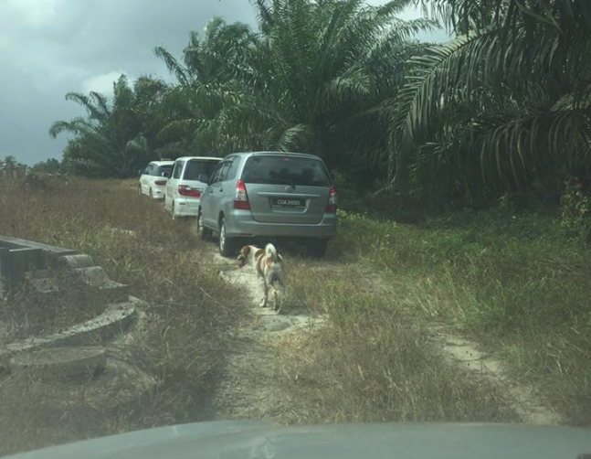 chien-bobby-enterrement-1