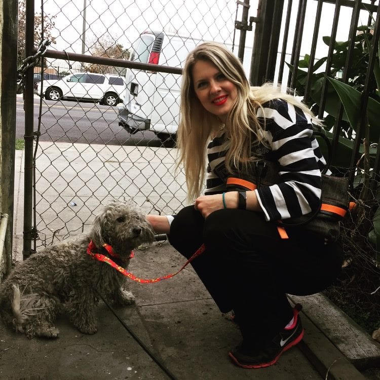 dog-sailor-freeway-1