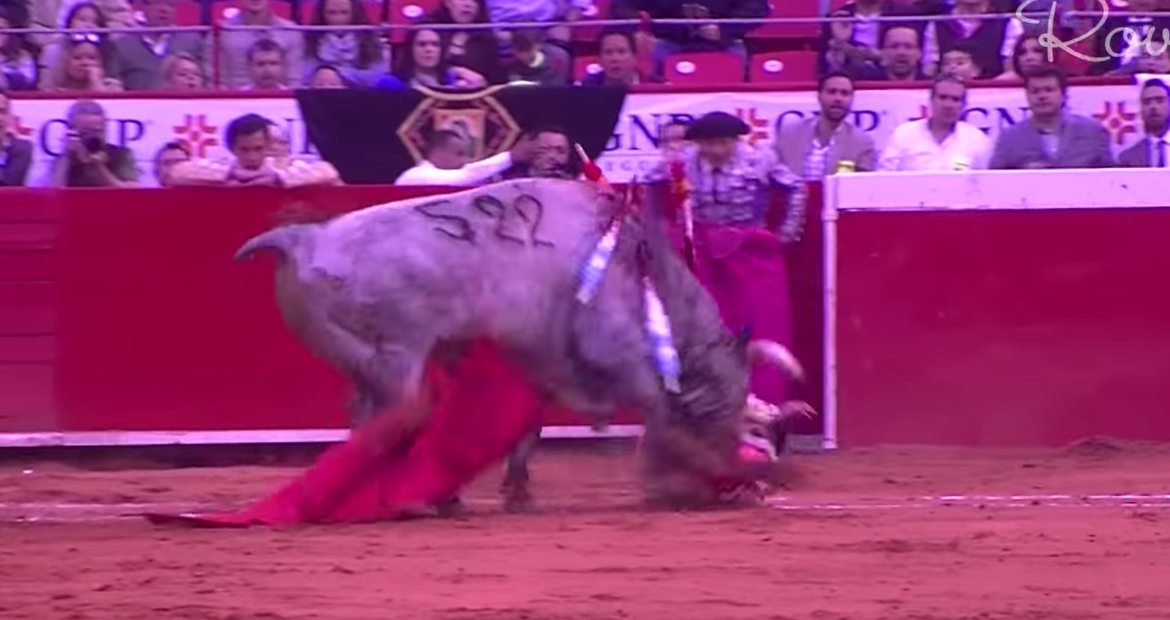 antonio-romero-torero-mexique-accident-5