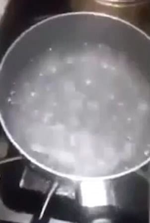 cat_boiling_water_chicago_6