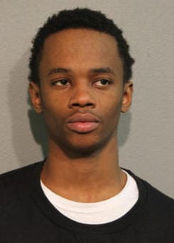 cat_boiling_water_chicago_5