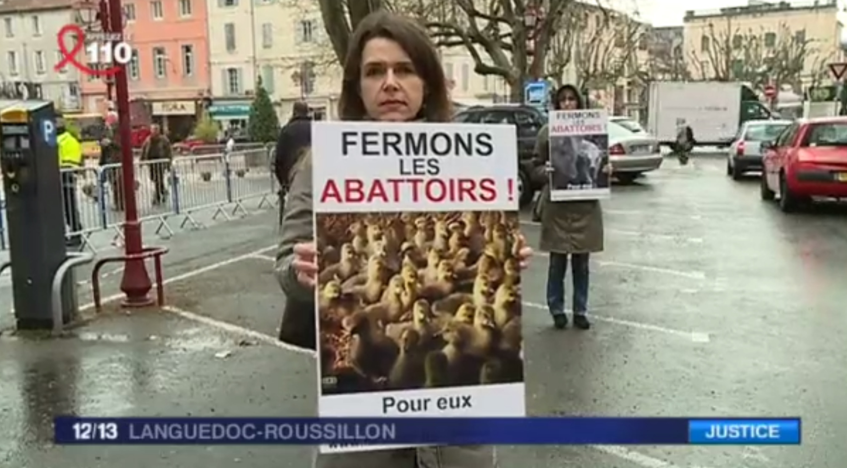 L214-proces-vigan-abattoir-3