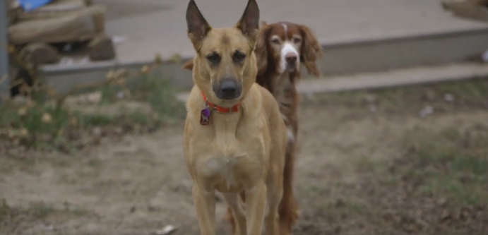 jeb-dna-death-penalty-2