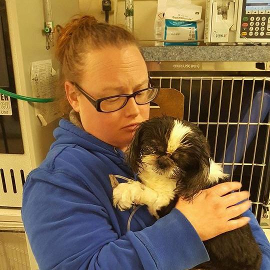 sugar-euthanized-mistake-4