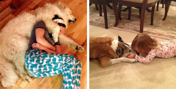 best-dog-ever-cover-3