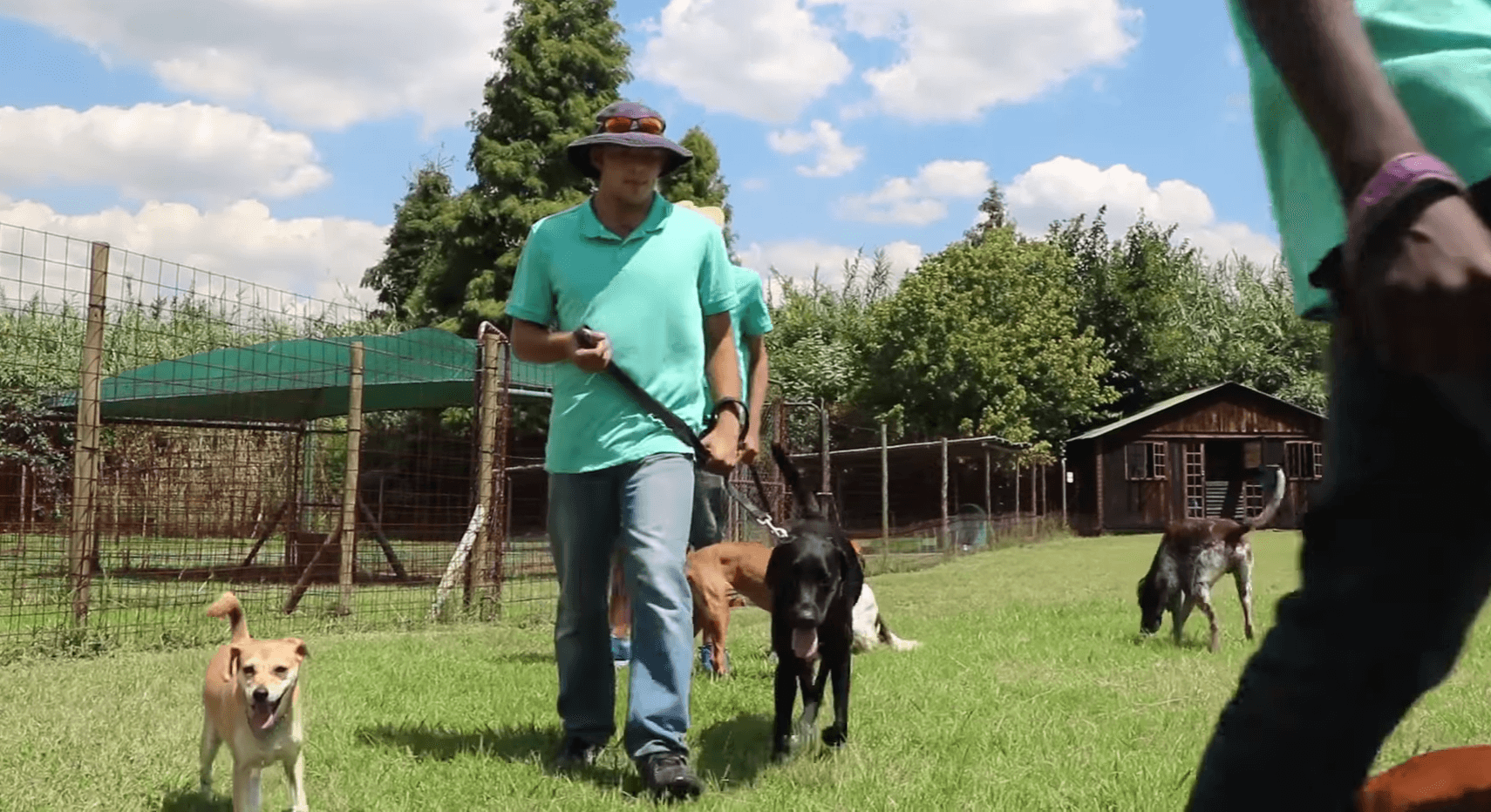 special-doggy-daycare-4