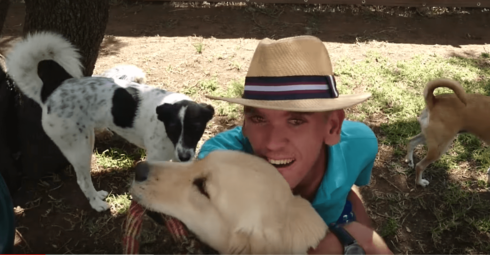 special-doggy-daycare-2