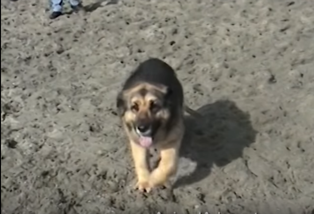 judith-chained-10years-6