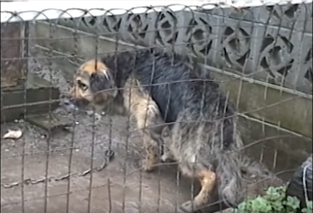 judith-chained-10years-1