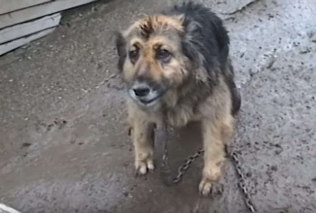 judith-chained-10years-2