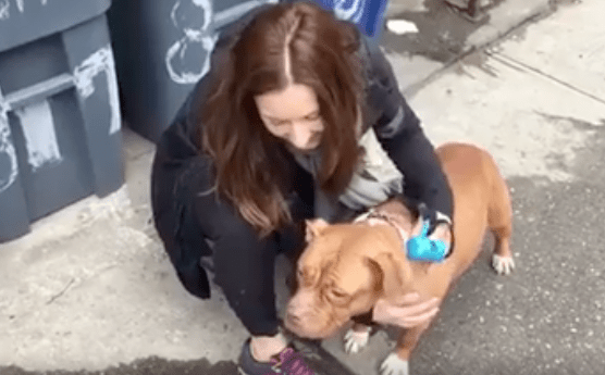 lola_chained_garage_rescue_4