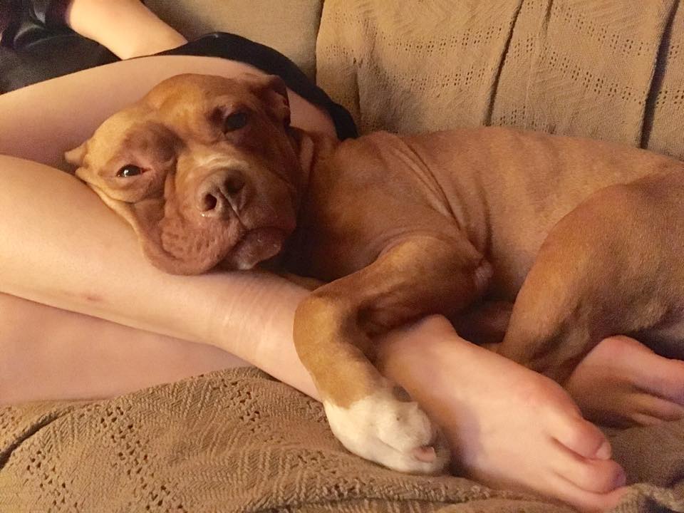 lola_chained_garage_rescue_5