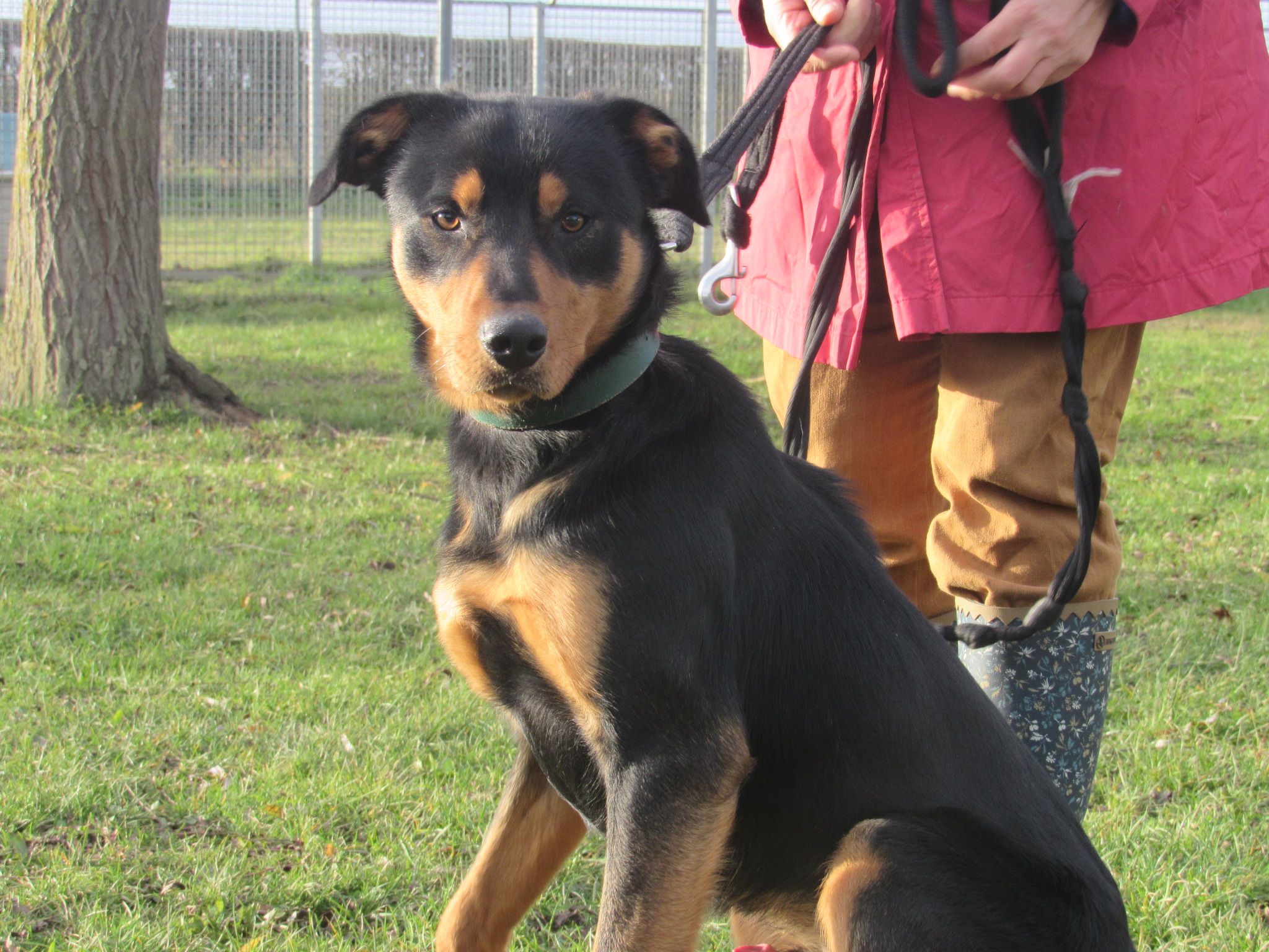 SPA-basse-normandie-inca-poignard-2