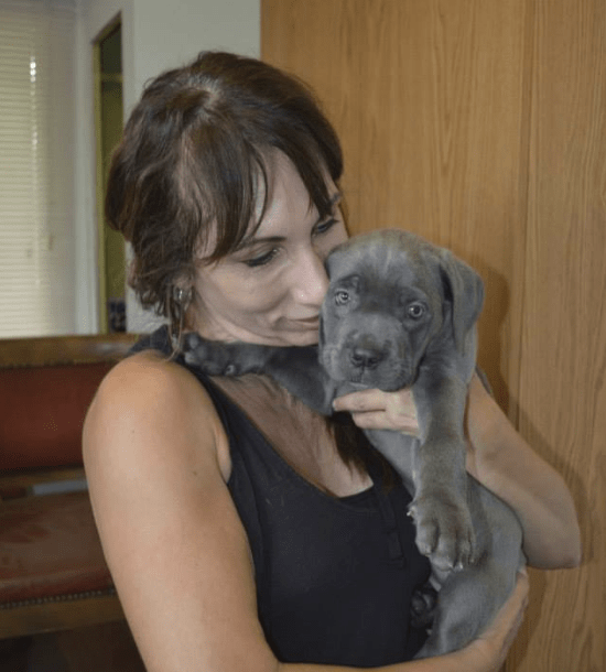 dog-willow-syndrome-4