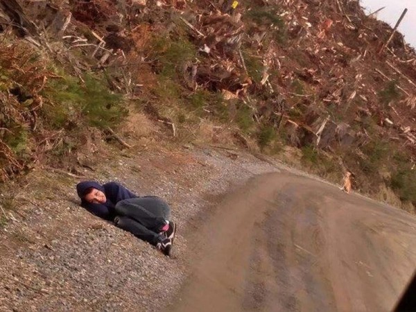 bear-chien-sauvetage-amanda-2