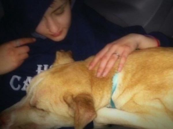 bear-chien-sauvetage-amanda-8