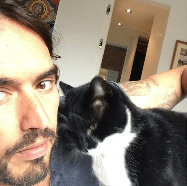 cat-men-study-bbc-24